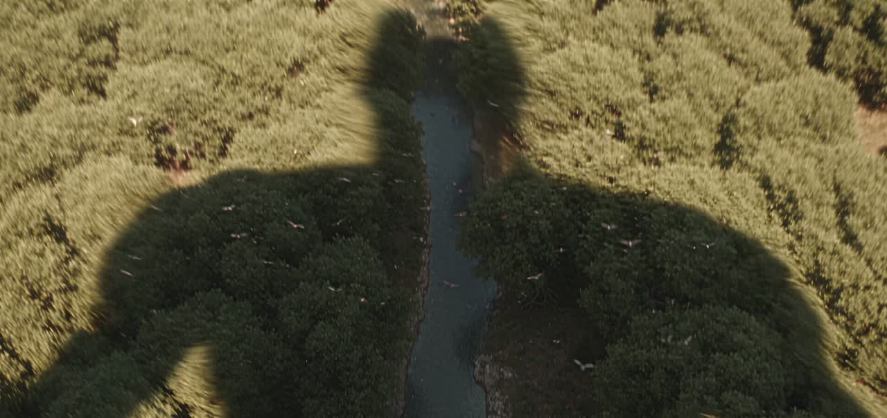 TJB cinematic still